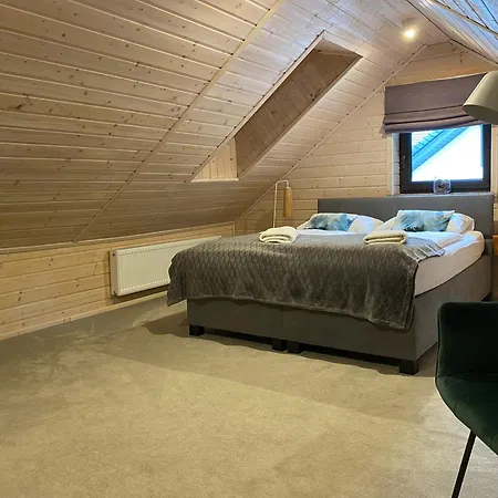 Apartament Dwupoziomowy Szyszka