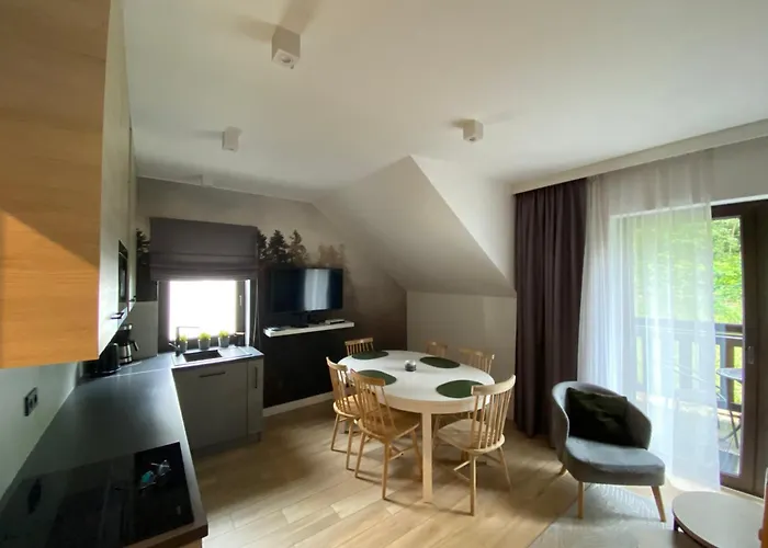 Dwupoziomowy Szyszka Apartament *