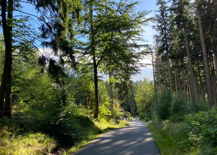 Dwupoziomowy Szyszka كارباش